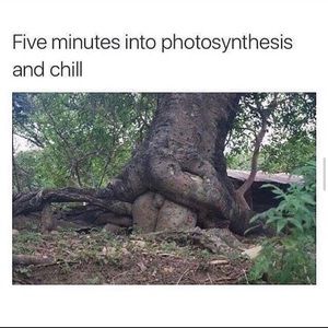 Meet your Posher, Ramon